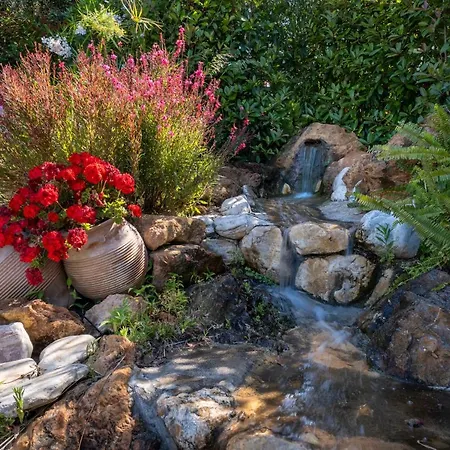 Hotel Iakovakis & Koropi