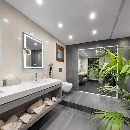 Hotel Iakovakis & Koropi