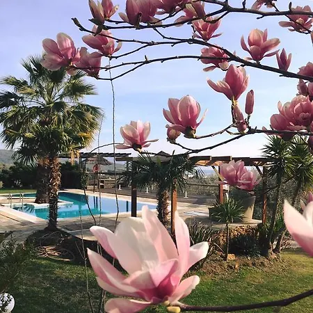 Hotel Iakovakis & 4*